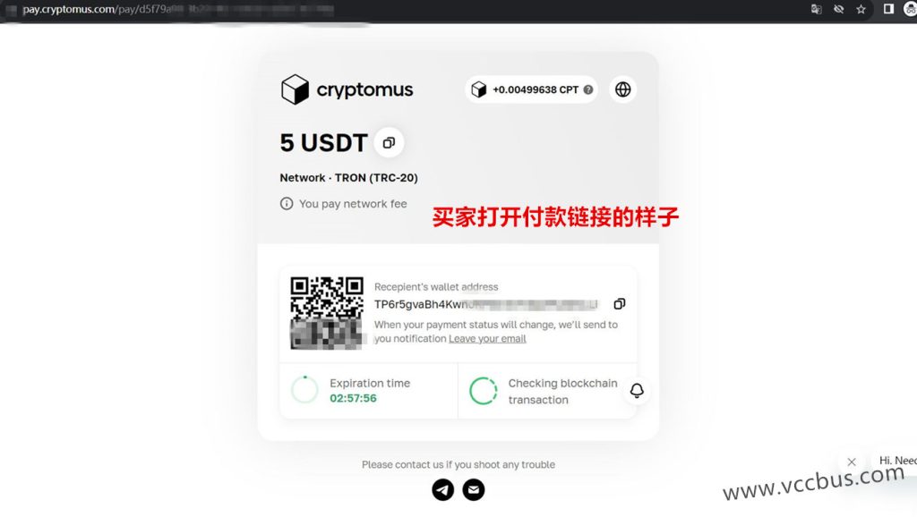 买家打开Cryptomus加密支付网关收款链接的样子